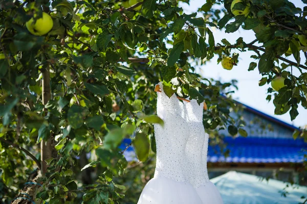 りんごの枝に掛かっている白いウェディング ドレス — ストック写真