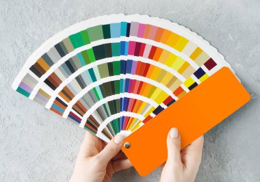 Daire yenileme konsepti. Beton bir arka planda renk paleti yelpazesi tutan kadın eller.