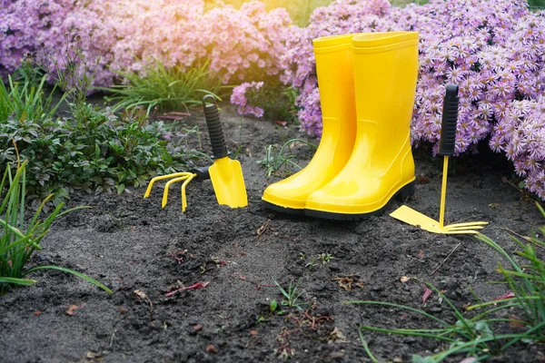 정원가꾸기 도구와 비장화 — 스톡 사진