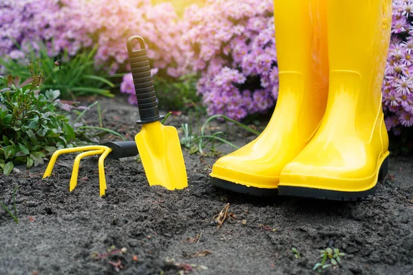 Gardening. Little garden shovel, rake  and rain boots standing on the soil of the flower garden.