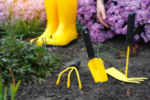 Landscaping. Little garden shovel, rake  and rain boots standing on the soil of the flower garden.