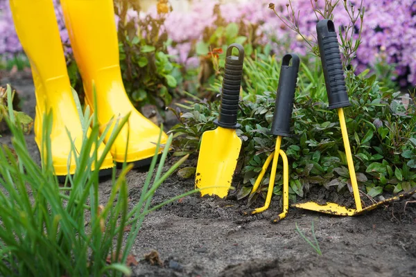 정원에 도구들 — 스톡 사진