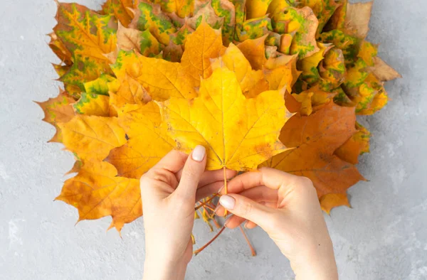 Fan Van Gele Herfstbladeren Vrouwelijke Handen Met Manicure Gehakt — Stockfoto