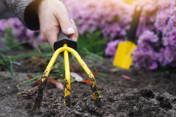 Primavera Jardim Funciona Fundo Com Pouco Ancinho Amarelo Mão Feminina — Fotografia de Stock