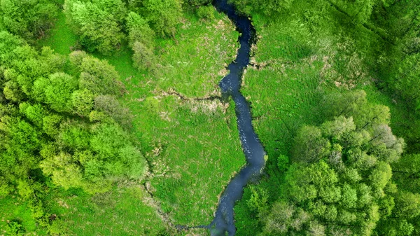 Powietrza Dron Lata Nad Rzeką Zieloną Łąką Lasem Wiosenny Krajobraz — Zdjęcie stockowe