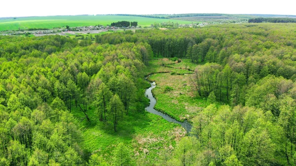 Aerial. The river flows towards the village between the green forest. Locality on the horizon. View above from drone.