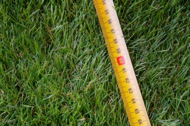 Çimlerin üzerinde paten bandı olan yapay çim kurulum arkaplanı