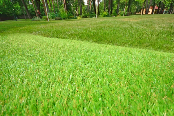 Artificial Turf Landscape Design Artificial Grass Roll Lying Lawn — Stock Photo, Image