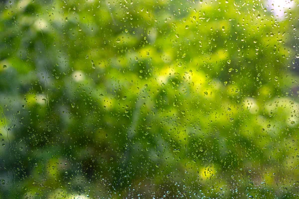 Капли Дождя Мокрое Стекло Время Дождя Зеленые Листья Деревьев Фокусе — стоковое фото