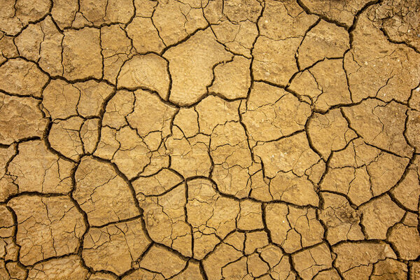 Drought and soil dehydration background. Dry cracked earth texture.
