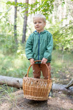 Mantar topluyorum. Ormanda mantar topladığı için sepeti olan küçük sarışın çocuk. Dikey fotoğrafçılık.