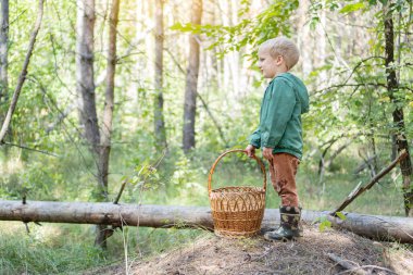 Mantar topluyorum. Ormanda mantar topladığı için sepeti olan küçük sarışın çocuk. Boşluğu kopyala.
