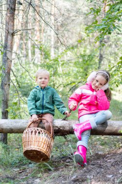 Mantar topluyorum. Mantar sepetli iki neşeli çocuk ormandaki çöp ağacında oturuyor. Dikey fotoğrafçılık.