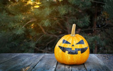 Cadılar Bayramı partisine hazırlanıyorum. Balkabağı şenlikli bir makyaj için hazır..