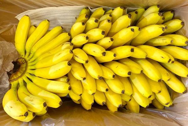 Ripe Baby Bananas Box Sale Market Top View — Stock Photo, Image