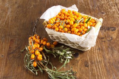 Deniz dikenli üzümler bahçesi eski masa yüzeyinde bir kasede taze hasat