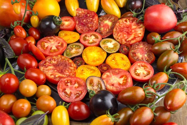 Bürsten Sie Frische Tomaten Verschiedenen Farben Aus Nächster Nähe Ernte — Stockfoto