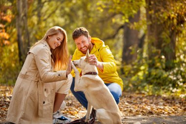 Mutlu çift ormanda köpekle eğleniyor.