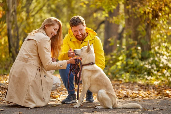 正の白人夫婦は田舎の森で犬と過ごすのを楽しんでいます — ストック写真
