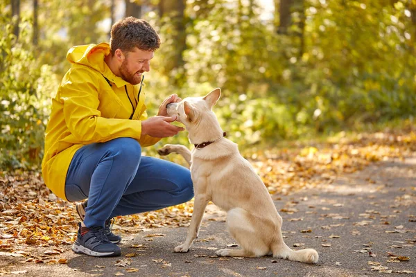 森の中の遊び心のある犬と優しい男の側の眺め — ストック写真