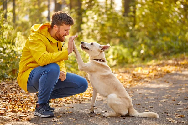 自然界で犬と遊ぶ優しい男についてのサイドビュー — ストック写真