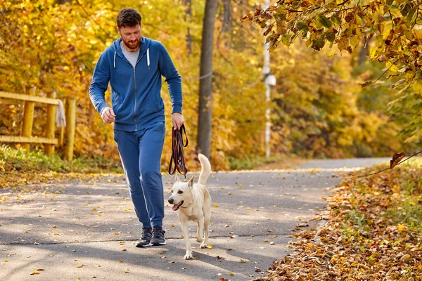 秋の森の中でペット犬と走る髭の白人男性 — ストック写真
