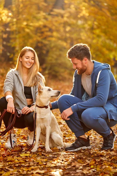 森の中の優しい白いペットの犬と遊ぶ男と女 — ストック写真