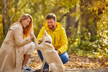 Ormanda evcil köpekleriyle oynayan çiftin yan görüntüsü.