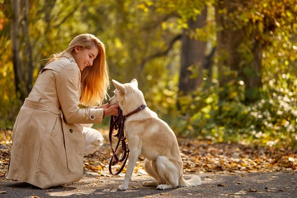 Lovely young woman and nice dog in the forest — Stock Photo, Image