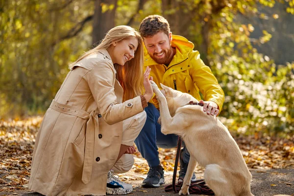 幸せなカップルは森の中でペット犬と遊んでいます — ストック写真