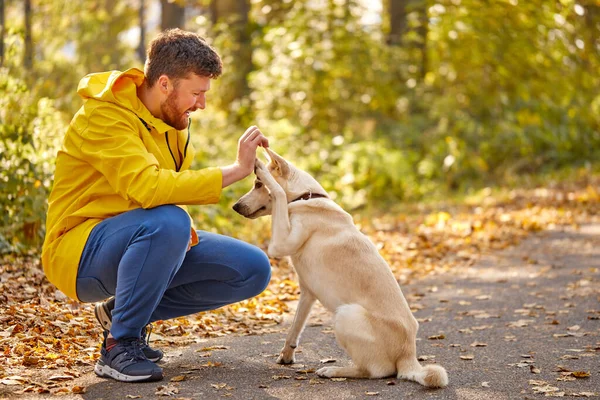 ペットの犬と遊ぶ男の側の眺め — ストック写真