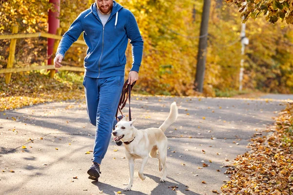 秋の森の中をペット犬と走るクロップドベアードの白人男性 — ストック写真