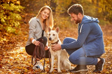 Doğada beyaz evcil köpekleri olan sevimli beyaz bir beyaz çift.