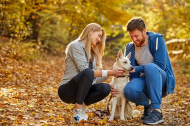 Mutlu çift ormanda köpekle eğleniyor.