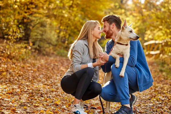 白人の犬と秋の森の中で夫婦にキス — ストック写真