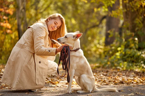 ブロンドの女性は森の落ち葉の中を歩いているときに犬を演じています — ストック写真