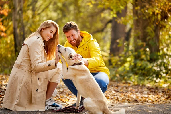 優しい白人のカップルと白いペットの犬 — ストック写真