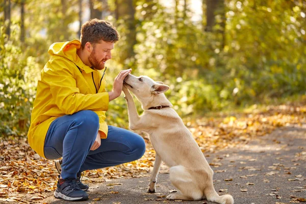 素敵な白人男性は森の中で素敵なペット犬と遊ぶ — ストック写真