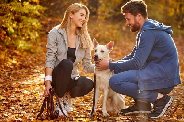 正の白人夫婦は田舎の森で犬と過ごすのを楽しんでいます — ストック写真