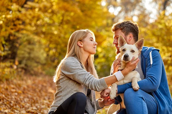 幸せな夫婦は森の中で犬と時間を楽しむ — ストック写真