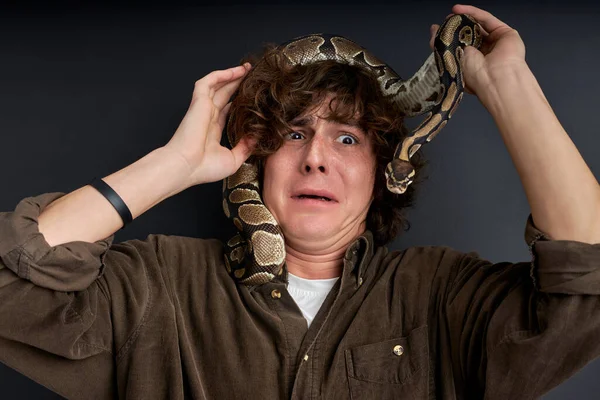 Had vylezl na samčí hlavu, člověk se bojí ještě víc, cítí nebezpečí — Stock fotografie