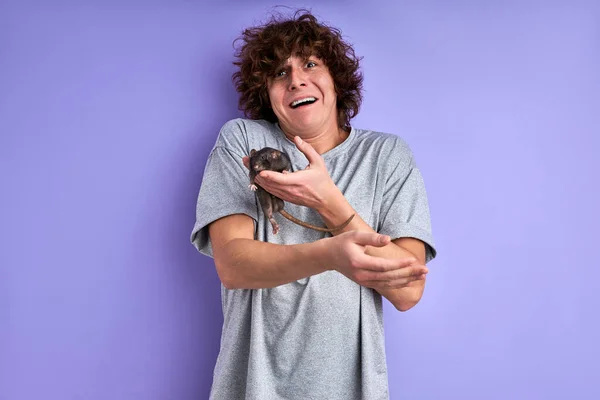 Meraklı gri sıçan bir adamın kolunda sürünüyor — Stok fotoğraf