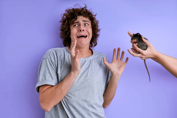 Jovem macho gritos temendo decorativo rato — Fotografia de Stock