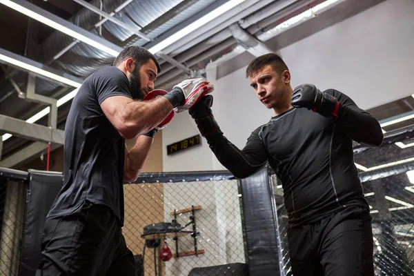 Artistas marciales mixtos entrenando antes de luchar, practicar kickboxing, fuerza y motivación —  Fotos de Stock