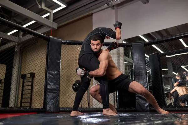 Combatientes de boxeadores MMA Fit luchan en peleas sin reglas en octágonos de anillo —  Fotos de Stock