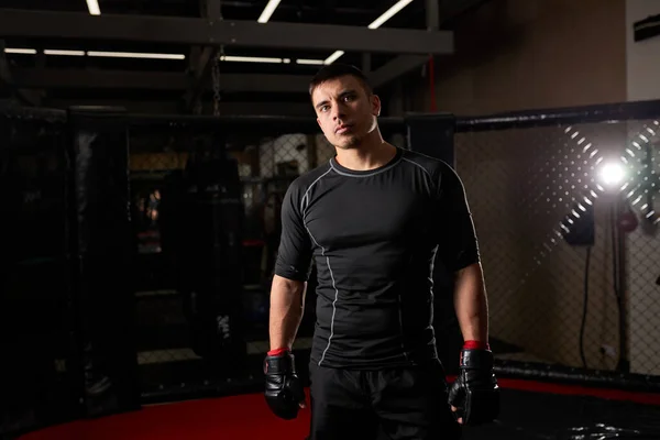 Boxeador masculino fuerte profesional en guantes de boxeo está en pose listo para luchar en el ring —  Fotos de Stock