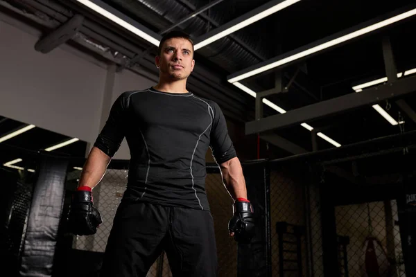 Un hombre guapo y seguro boxeador con guantes de pie después de la pelea. Boxeador joven durante el entrenamiento —  Fotos de Stock