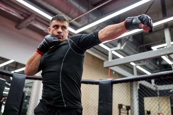 Boxer, uomo caucasico che combatte o posa con i guanti. Concetto di fitness e boxe. Attività ricreative sportive individuali. — Foto Stock