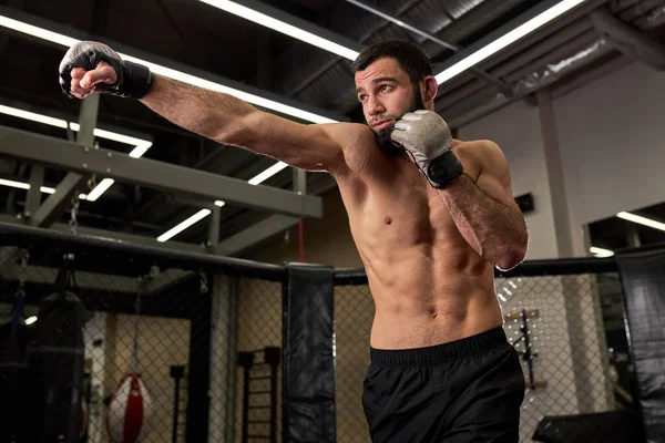 Póló nélküli férfi bokszoló kesztyűben harci pózban edzés közben — Stock Fotó