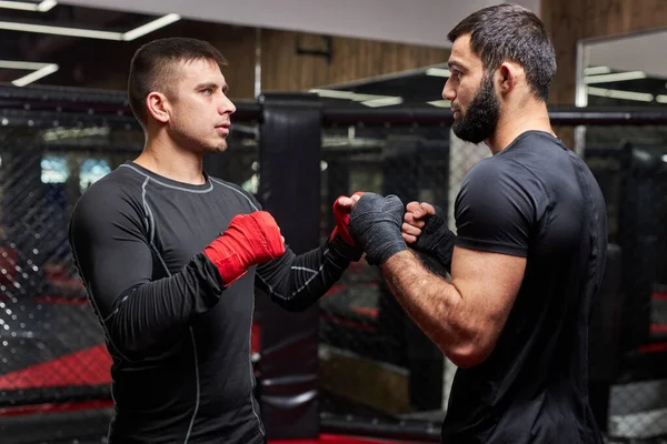 Profesional MMA Fighter Mostrando Los Mejores Trucos Para Nuevo Combatiente, Enseñando, Entrenando Juntos —  Fotos de Stock